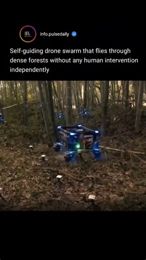 info.pulsedaily on Instagram: "An autonomous drone swarm is a group of intelligent drones that can work together and navigate dense forests without any human control. These drones use advanced technologies such as artificial intelligence, GPS, computer vision, and sensors to detect obstacles like trees, branches, and uneven terrain. By communicating with each other in real time, the swarm can make collective decisions, avoid collisions, and adjust flight paths instantly. This technology is espec