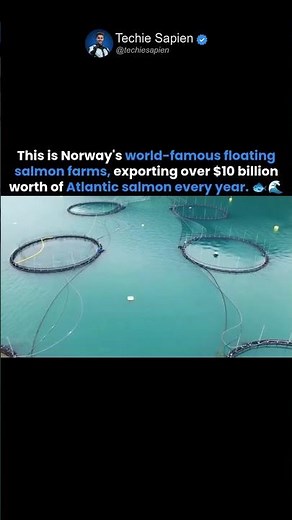 Inside Norway’s $10 Billion Salmon Farms: The Floating Ocean Industry Feeding the World 🐟🇳🇴