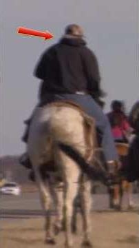 Side-Splitting Fails From Animals And People Alike #shorts