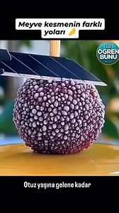 Meyve kesmenin farklı yolları, meyvenin türüne, kullanım amacına ve sunum şekline göre değişir. İşte bazı yaygın meyve kesme yöntemleri ve örnek meyveler: - 🍎 1. Dilimleme (Slice) Nasıl yapılır: Meyve enlemesine veya boylamasına ince dilimlere ayrılır. Uygun meyveler: Elma, armut, portakal, muz Kullanım: Tabak sunumları, çocuklar için kolay tüketim 🍍 2. Küp Küp Doğrama (Dice) Nasıl yapılır: Meyve önce dilimlenir, sonra çapraz kesilerek küçük küpler oluşturulur. Uygun meyveler: Karpuz, kavun, m