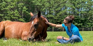 Orrington woman promoting healing with equine assisted therapy program