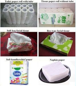 [Hot Item] Fourdrinier Wire Normal Specification Cutting Products Packing Rewinding Tissue Production Line Toilet Paper Machine