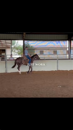 ꜱᴘᴀʀᴋꜱ ꜰᴜᴛᴜʀɪᴛʏ ʜᴏʀꜱᴇꜱ ✨ ᴡʜᴇʀᴇ ɢʀᴇᴀᴛ ʜᴏʀꜱᴇꜱ ʙᴇɢɪɴ The first rides shape the future. The first lessons build the mind. The 𝒻𝑜𝓊𝓃𝒹𝒶𝓉𝒾𝑜𝓃 defines the horse. Our colt starting program is centered on creating 𝒸𝑜𝓃𝒻𝒾𝒹𝑒𝓃𝓉, 𝓇𝑒𝓈𝓅𝑒𝒸𝓉𝒻𝓊𝓁 & 𝓌𝒾𝓁𝓁𝒾𝓃𝑔 young horses through a quiet, consistent approach. We don’t rush — we develop softness, understanding, and trust from day one. ▫️ Colt Starting — Correct, soft, confidence-building first rides ▫️ Longe Line Program — Patient progr