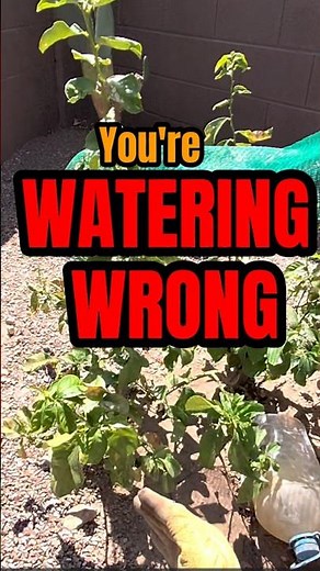 Why Your Fruit Tree Isn't Growing (Even With Regular Watering)