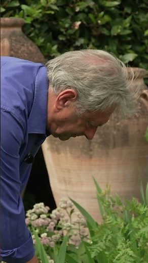 How to Know When Your Plants Actually Need Water