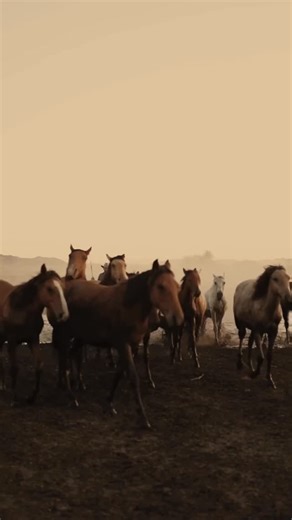 Jasmine Dustin on Instagram: "Luxury meets the wild west 🤍 A weekend at the world’s first five-star ranch — where cowboy dreams come wrapped in cashmere blankets and mountain views @theranchatrockcreek 🧥@revolve Dude ranch, big sky Montana, Montana ranch, luxury ranch , travel creator"