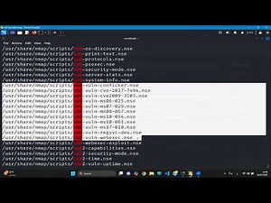 Network Penetration Testing Lab 3 [NMAP Scripts + Intro Metasploit]