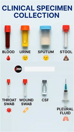 NURSING ACADEMY on Instagram: "💉Clinical specimen collection 🧫🧬🧪 #clinical #specimens #collection #lab #medical"