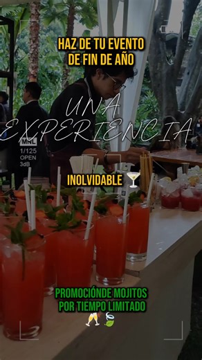 Cocktail Experience on TikTok