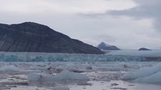 The issues: 2020 candidates on climate change