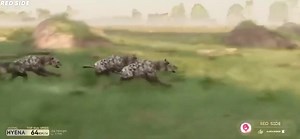 Animal speed comparison on land. | 4x4 Assist