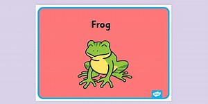 Frog Poster for Kids