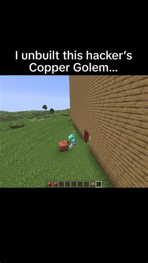 Tae on Instagram: "Unbuilt this hackers golems 🥀 #minecraft #minecraftmemes"