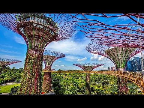 Gardens by the Bay, Supertrees - Featured Project