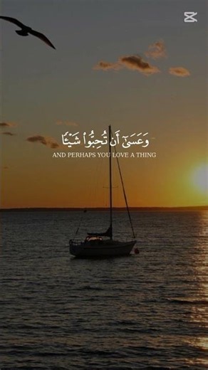وعنه بالله ❤️🤍