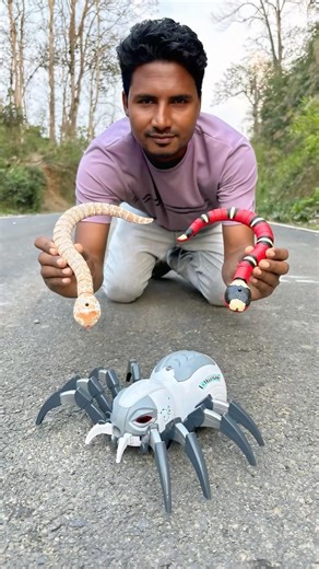 Remote wala Snake and spider unboxing and test😜