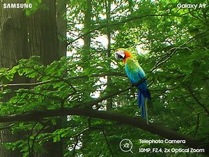 Double the zoom, double the details. Samsung Galaxy A9 features a 10MP telephoto camera that can gain 2x more zoom. Let the details run wild! Pre-order now and enjoy amazing offers: http://bit.ly/PreOrderA9 #GalaxyA9 #quadcamera #2xOpticalZoom | Samsung
