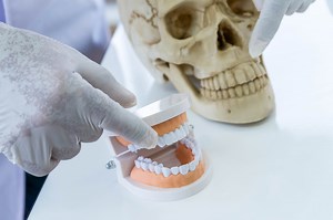 Working in forensic dentistry – experiences from a dental nurse – Dentistry Online