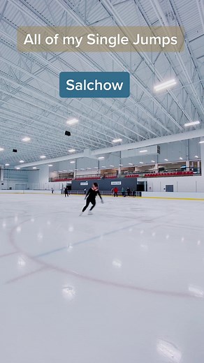 thetiktokskatingmom on TikTok