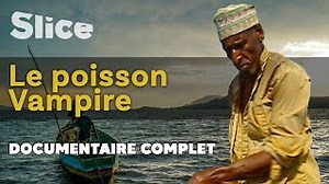 Documentaire | Le poisson vampire