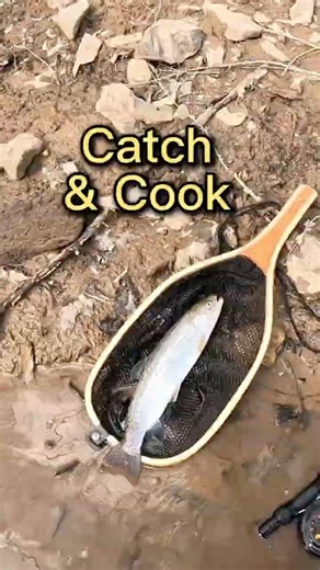 Trout Catch & Cook on the Cast Iron #flyfishing #trout #fishing #catchandcook #adventure #outdoors