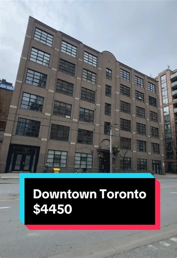 Explore a Stunning Loft Apartment in Downtown Toronto