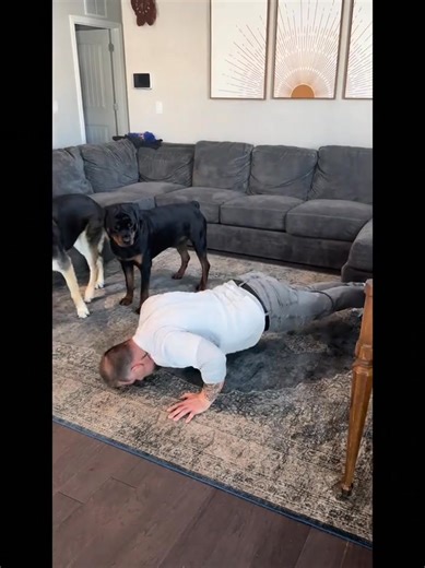 part 2 | Aaron with Dillon