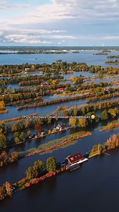 Homes That Are Truly Different Captivating Unique Designs