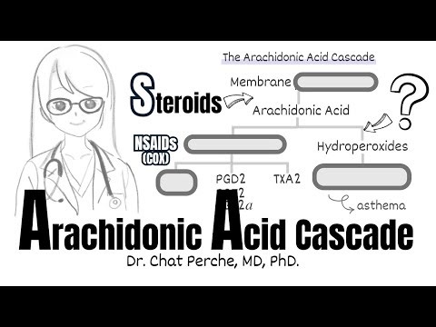 The Arachidonic Acid Cascade - COX, LOX, NSAIDs, Steroids -Finally Makes Sense (in Just 5 Minutes)