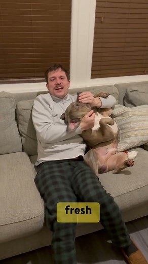 How to cook a Christmas goose.