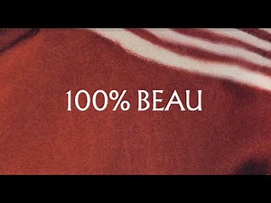 Robbie Williams - 100% Beau (Official Lyric Video)