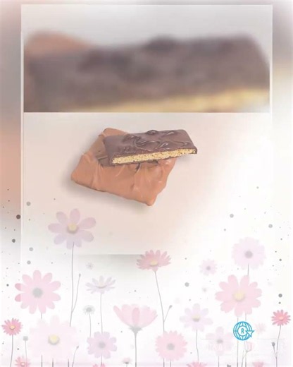 Ashers Graham Crackers Milk Chocolate 5lb