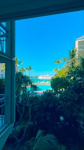 15K views · 40 reactions |  For sale: Christmas (and/or New Years)...