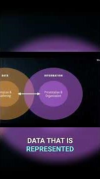 Data to Knowledge The Informatics Ecosystem Explained