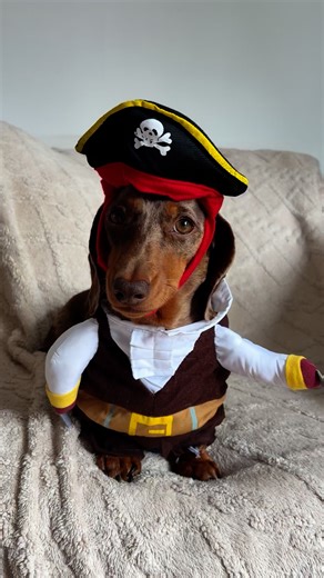 23K views · 1.1K reactions | Captain Lovelock ‍☠️P.S. Why couldn’t the pirate learn the alphabet?Because he kept getting lost at C!  | Countryside Tails | Facebook