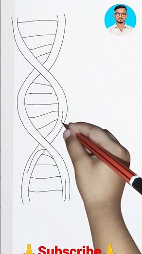 DNA diagram DNA structure Double helix How to Draw Class12 board/Neet competitive exam#youtubeshorts