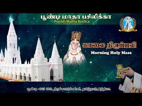 🔴Live | Holy Mass | 14.12.2025 | Fr. Selva Kumar MMI, Asst. Parish Priest ,Poondi Madha Basilica