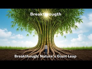 The Bamboo Tree Story 🌱 | A Powerful Life Lesson About Patience