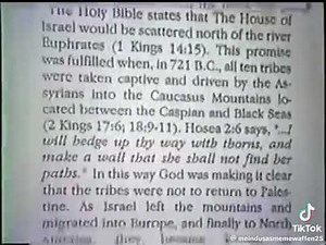 Websters Dictionary Meaning Discription