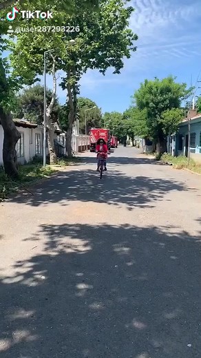 Bicycle Ride Through a Charming Neighborhood