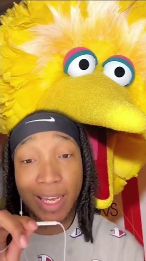 Where is Big Bird now from Sesame Street non canon