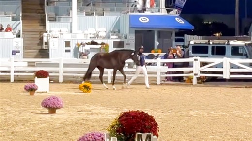 Iron Spring Farm on Reels