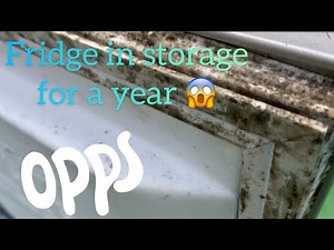 Hotpoint fridge freezer (RFAA52) deep clean, mould and bad smell removal from door seal and inside