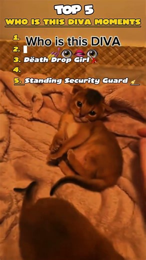 Main Character Energy: 1000% 💅💃