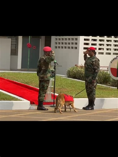 Celebrating LT COL JD Galley: First Female CO of Ghana Military Police