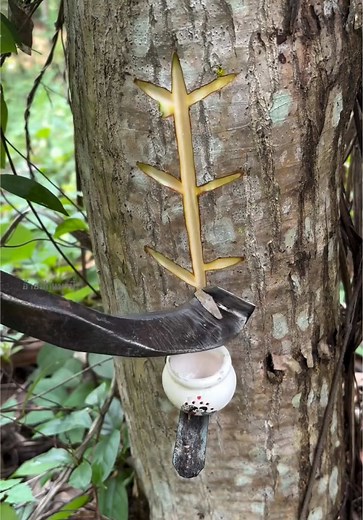 Rubber Tree Farming Techniques and Benefits
