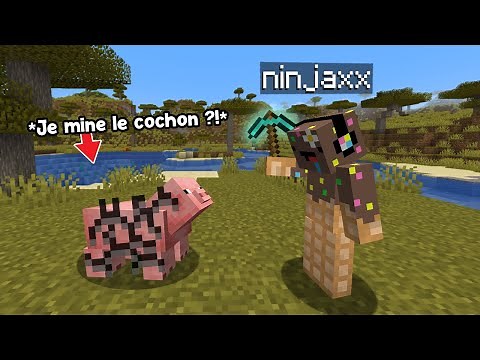 J'ai modifié Minecraft pour le rendre ultra wtf..