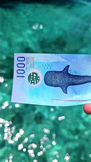 The most beautiful bill you've ever seen 💸