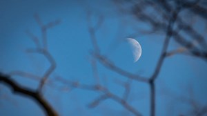 What causes the moon's phases? [Explained] - Our Planet