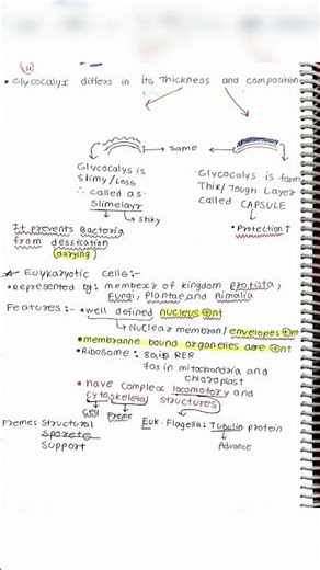 11th Cell- The unit of life notes